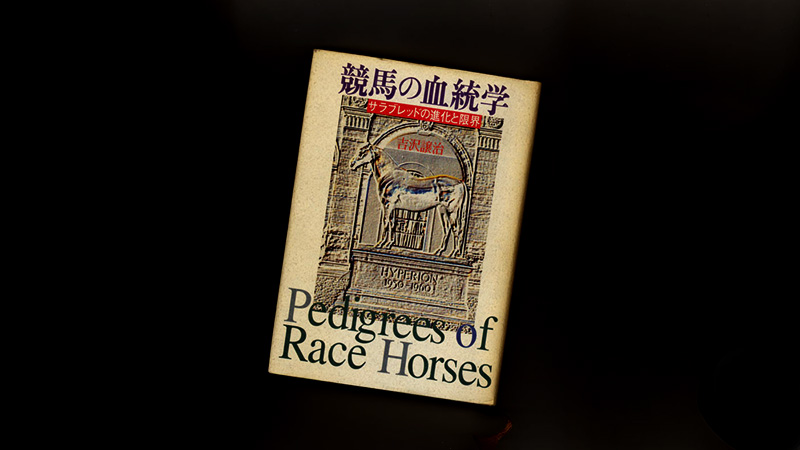 horse-racing-pedigree